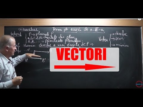 1/3 1565 Clasa 9 - VECTORI pe intelesul vostru: Marime Directie Sens Relatia de echipolenta etc.
