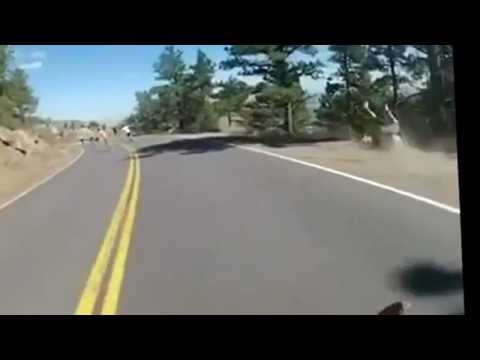  Deer sbyl skate