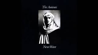 The Auteurs - Housebreaker