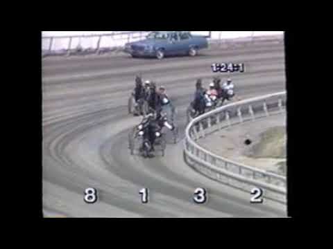 1990 Meadowlands TOWN PRO Doug Brown Tarport Hap $56,335 Track Record