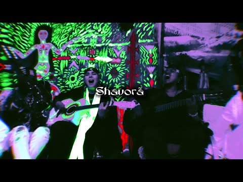 Shavorã ao vivo