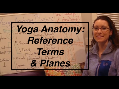 download lagu mp3 mp4 Yoga Anatomy Online Course, download lagu Yoga Anatomy Online Course gratis, unduh video klip Yoga Anatomy Online Course
