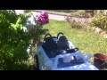 Liv Washing Car