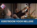 Nelleke verrast met kerstboom: 'Ik wilde wel een boom, maar het kon niet' - OMROEP WEST