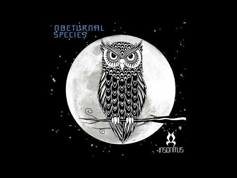 Psydewise - Disectionism