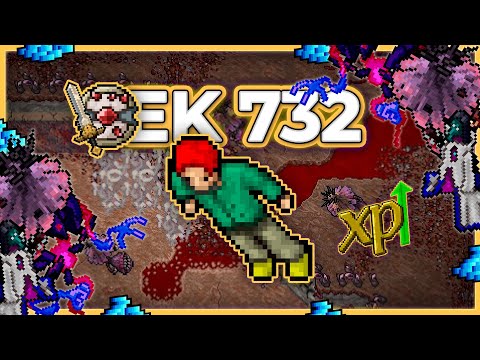 EK 732 Hunt x4 Furious Crater 8.7kk/h Raw + 4kk Profit - Tibia Hunt [13.30] #tibia #tibiahunt