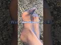 Reinforced Toes Wiggle Blue Nylons Pantyhose Tights Feet
