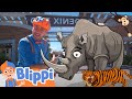 Blippi Visits The Zoo Learning Zoo Animals For Kids Educational Videos For Toddlers