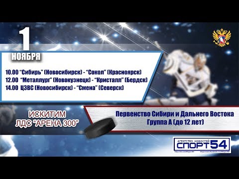 Металлург 08 (Новокузнецк) - Кристалл 08 (Бердск)