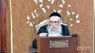 הרה"ג הרב וועכטר שליט"א י"ב אייר תשפ"ד - מאמר הרבי הריי"צ תש"י ד"ה מה יפית ומה נעמת חלק ג (הרב אברהם מנחם מענדל וכטר) - התמונה מוצגת ישירות מתוך אתר האינטרנט יוטיוב. זכויות היוצרים בתמונה שייכות ליוצרה. קישור קרדיט למקור התוכן נמצא בתוך דף הסרטון