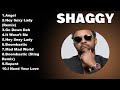 Shaggy Full Album 2024 Nonstop Popular Songs