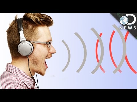 What If Humans Had Sonar?