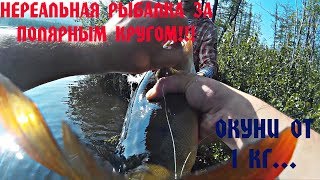 Рыбалка в магнитогорске где клюет окунь