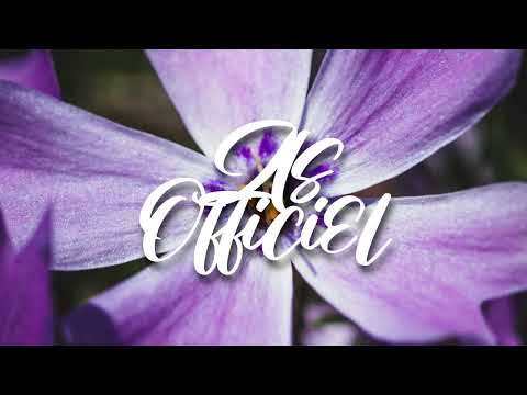 BLACKFLAYS x CARIMI - SE LAM PWALE ( HALFDAN CREW ) REMIX 2022