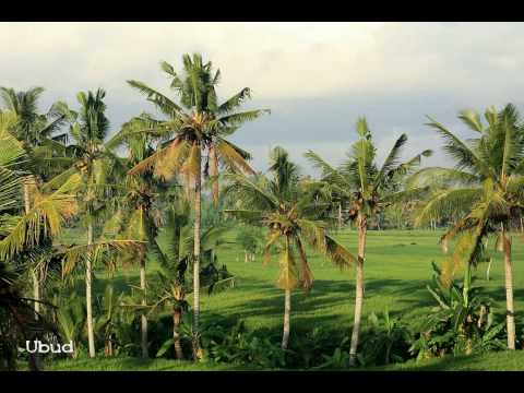 Chillout with Panoramaviews of Bali 720 HD