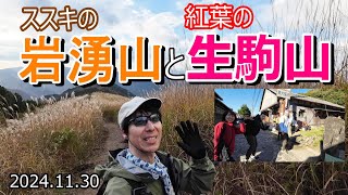 【登山Vol.20】大阪府岩湧山　晩秋のススキを見に行きます！おまけでは生駒山で偶然会ったすみおかさんも登場します！！