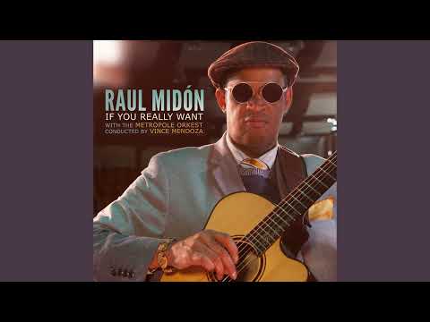 Raul Midón "If You Really Want" w/Vince Mendoza & The Metropole Orkest (full album)