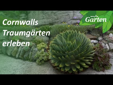 Gartenreise nach Cornwall in Großbritannien | MDR Garten