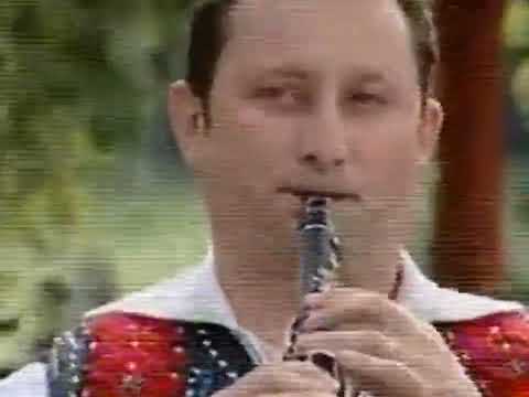 Ioan Sas-Instrumental Maramureș