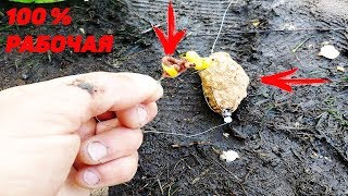 Снасти для ловли карася летом