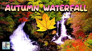 Autumn Forest Waterfall 🍂🍁 Autumn Forest Ambience & Relaxing Waterfall Sounds for Stress Relief