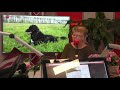 Wie heeft Amy gezien?