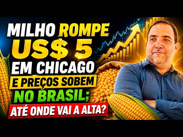 Milho rompe US$ 5 em Chicago e preços sobem no Brasil; até onde vai a alta?