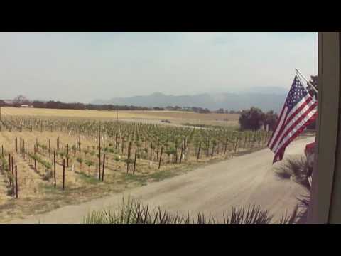 Kalyra Winery  Outside