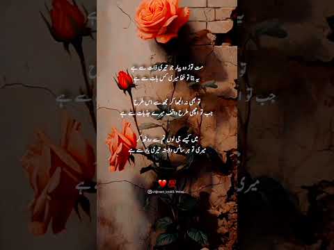 Best Urdu poetry and motivation deep Line 2 million views love you poetry Urdu poetry and sad poetry