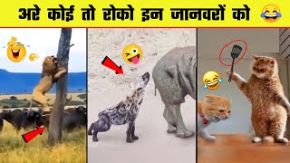 🤣😜 इन जानवरों से पंगा ना बाबा ना | Funny Animal Videos 2022 - Part 5