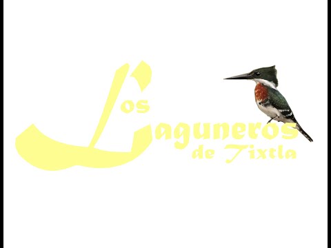 popurri pura sabrosura LOS LAGUNEROS DE TIXTLA