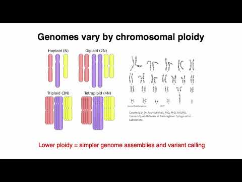 (2022) MCB 182 Lecture 0 - Review of Genes and Genomes