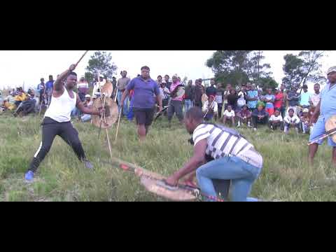 NO PLACE FOR COWARDS - WE ARE WARRIORS #2