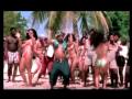 Shaggy Feat. Rayvon - In The Summertime