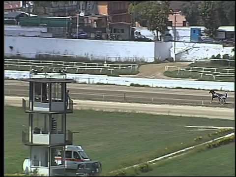 Trotto 25/08/2015 - 2° prova di riqualifica