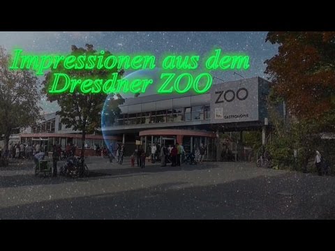 Dresdner Zoo: Zu Gast bei den Tieren der Welt