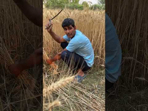 My friend is 8th pass 🌽, #vijay3guy