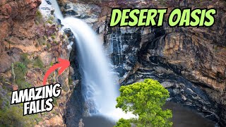 Beyond the Cactus: Tanque Verde's Hidden Oasis