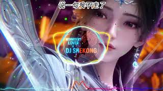 Download lagu ELECTRO MANYAO REMIX 说一句我不走了SHUO YI JU WO BU ZOU LE 慢摇2025~KENMISERY LOVER & SHEKONG mp3