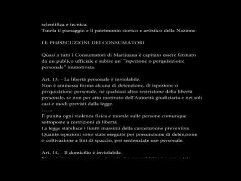 I fruitori di Cannabis