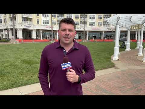 Social Media Mass Parties