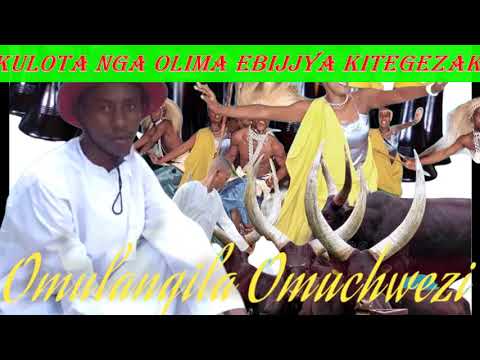 Okulota nga olima ebijjya kitegezaki Omulangira Omuchwezi