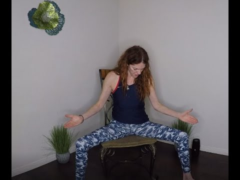 We RISE Yoga - Chair yoga for limited mobility or PTSD