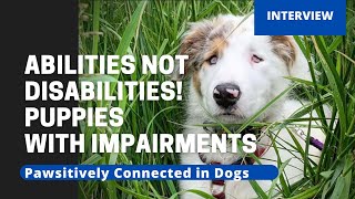 Puppies with Impairments! Abilities not Disabilities!