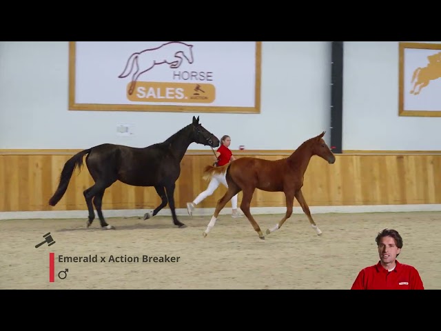 Eros v/d oude Heihoef Z