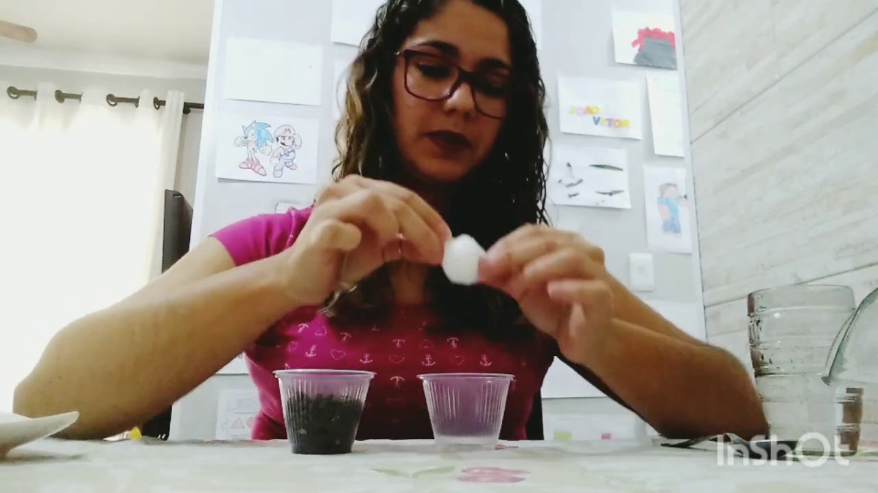 Sequência Didática João e o Pé de Feijão - Educação Infantil