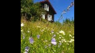 Guidet meditasjon - Lytter du til dine egne behov? #meditasjon