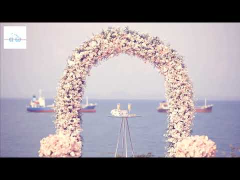 AnotherDaynParadise Photography video.