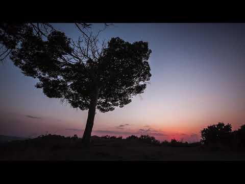 CANCIÓN DEL FRENTE UNIDO | Ebri Knight + Dakidarria + Mafalda + Huntza [EP La Voz Dormida]