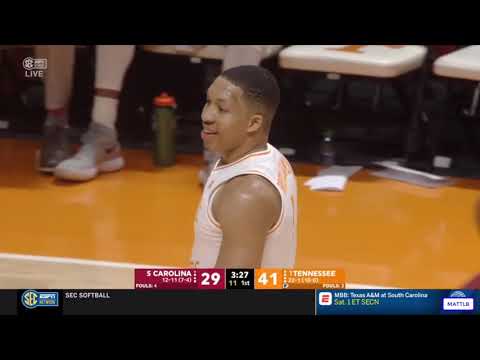 Tennessee vs South Carolina Basketball Game Highlights 2 13 2019